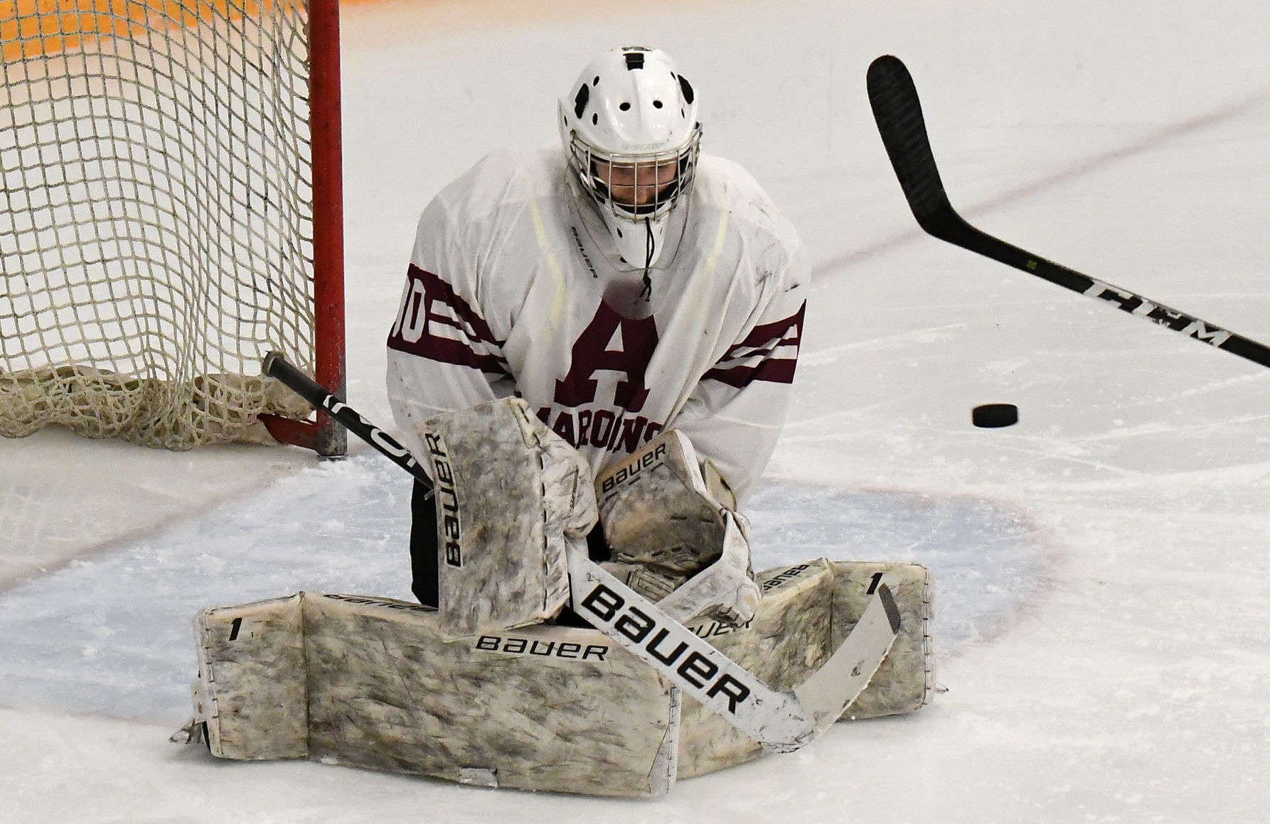 AHS Hockey 5.JPG